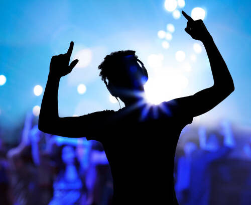 Cheering disco DJ performing with arm raised at concert music festival